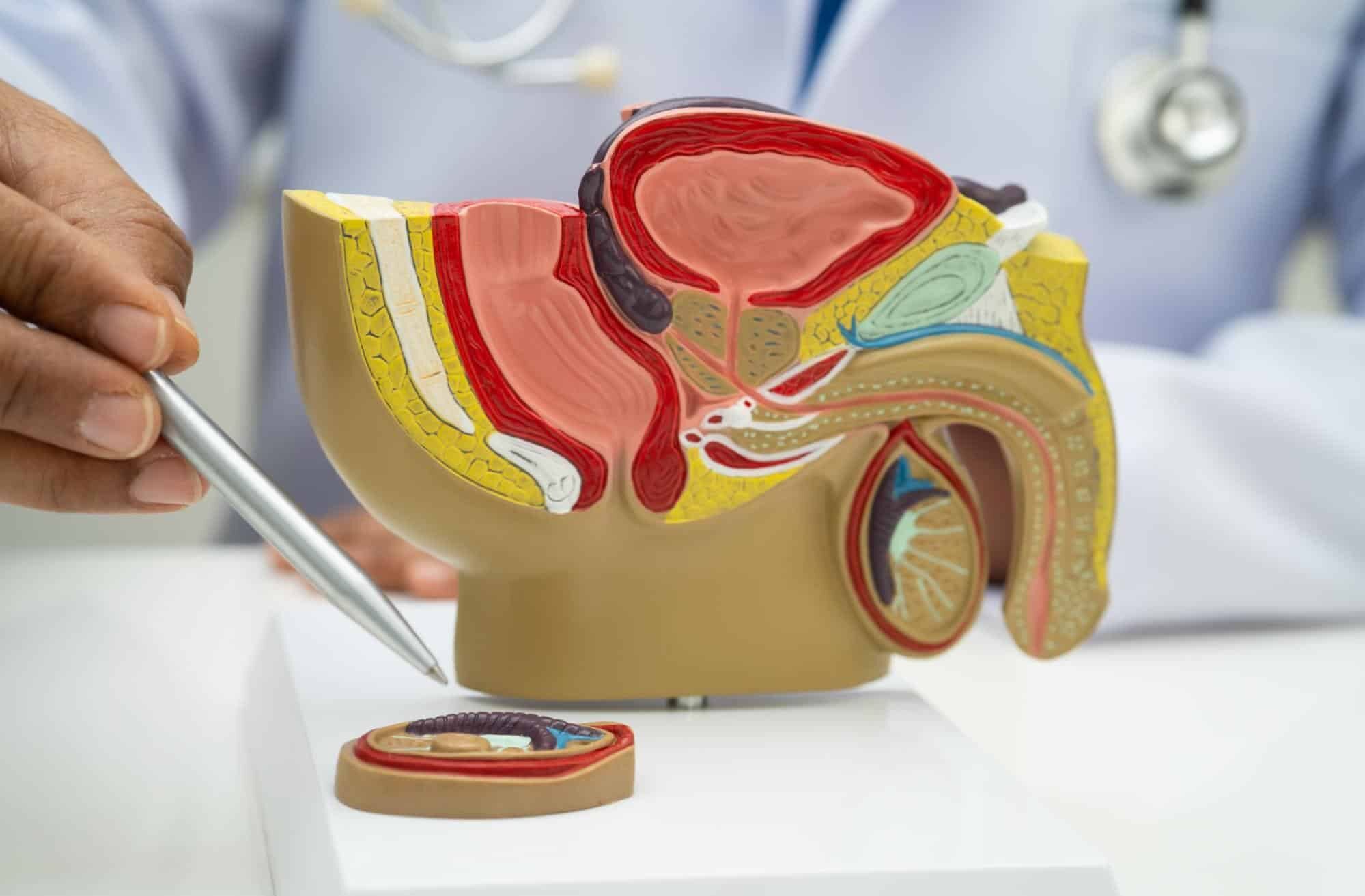 psa alto como bajarlo