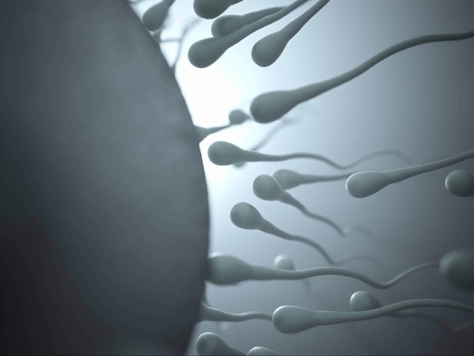 oligospermia que es