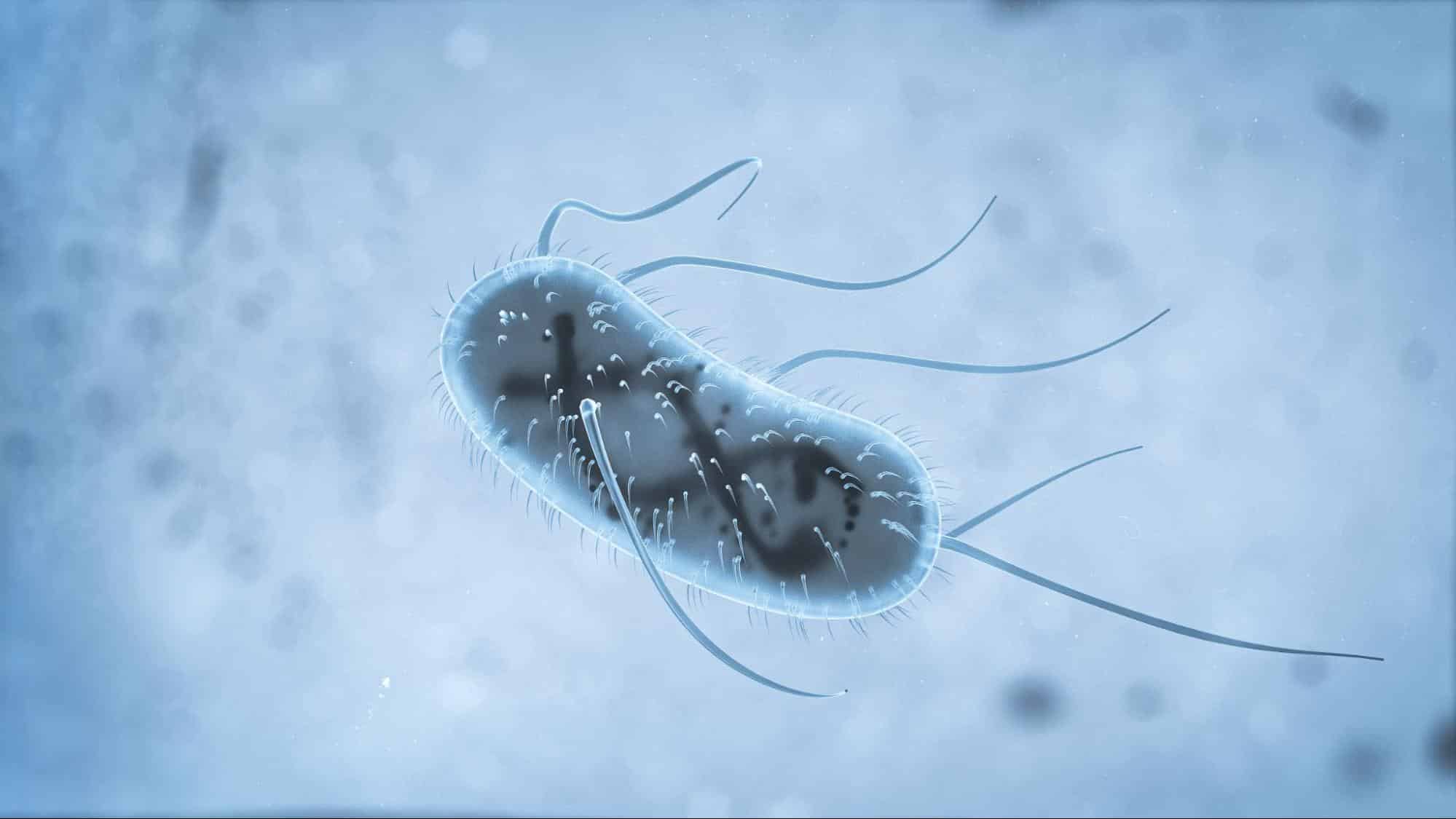 oligospermia