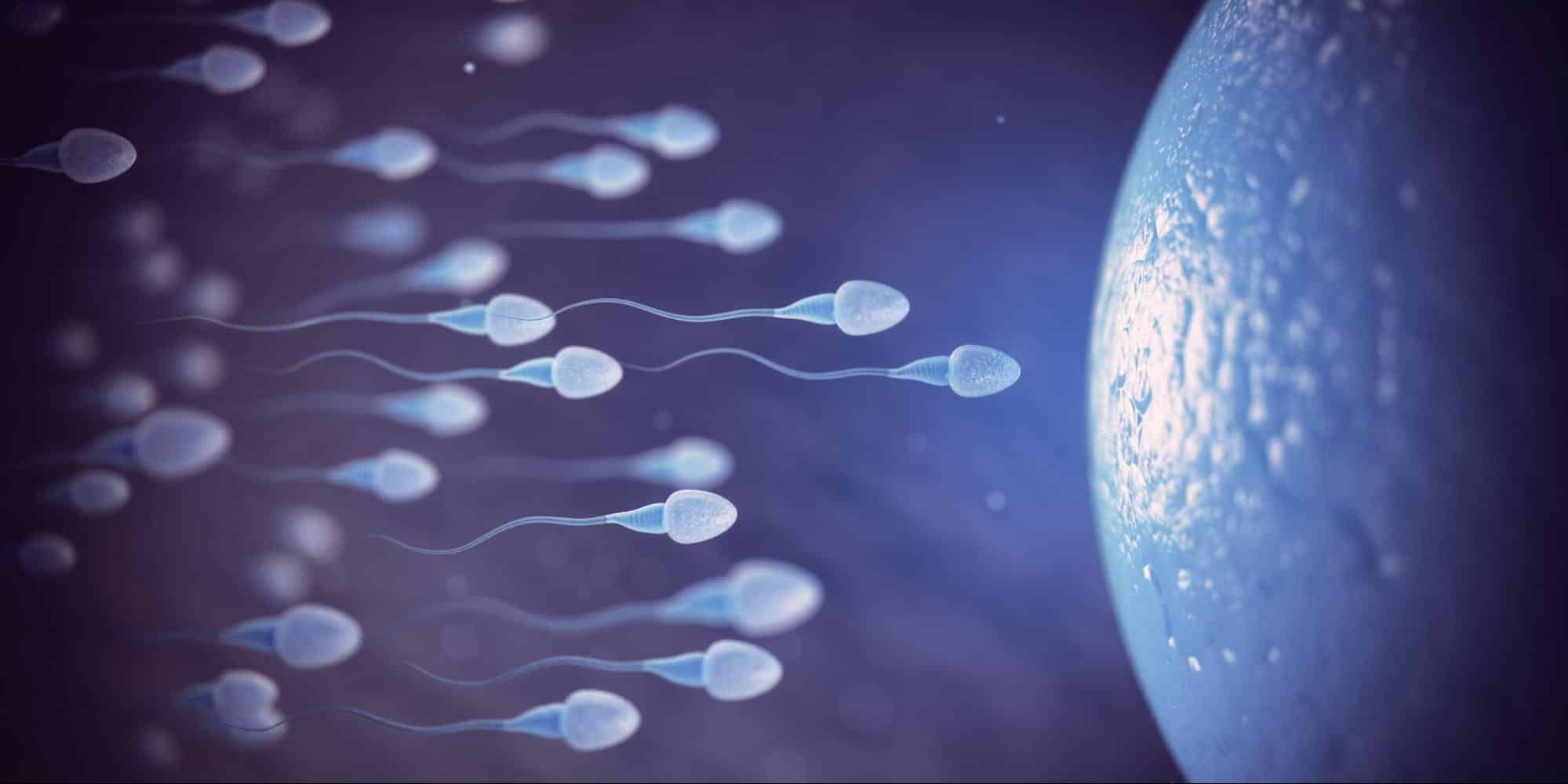 oligozoospermia